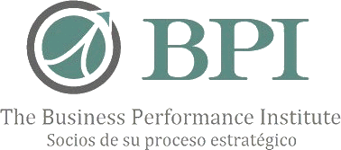 Logo BUSINESS PERFORMANCE INSTITUTE